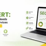 SEO Expert