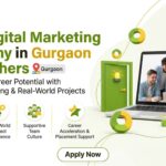 Gurgaon Best Digital Marketing Company for Freshers