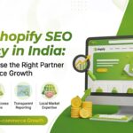 Best Shopify SEO Agency in India – Ecommerce SEO Services